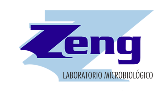 ZENG S.A.